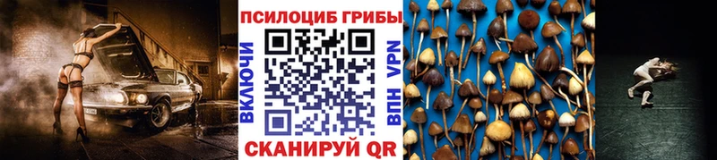 Галлюциногенные грибы мицелий  цены наркотик  Калачинск 